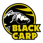 BLACK CARP